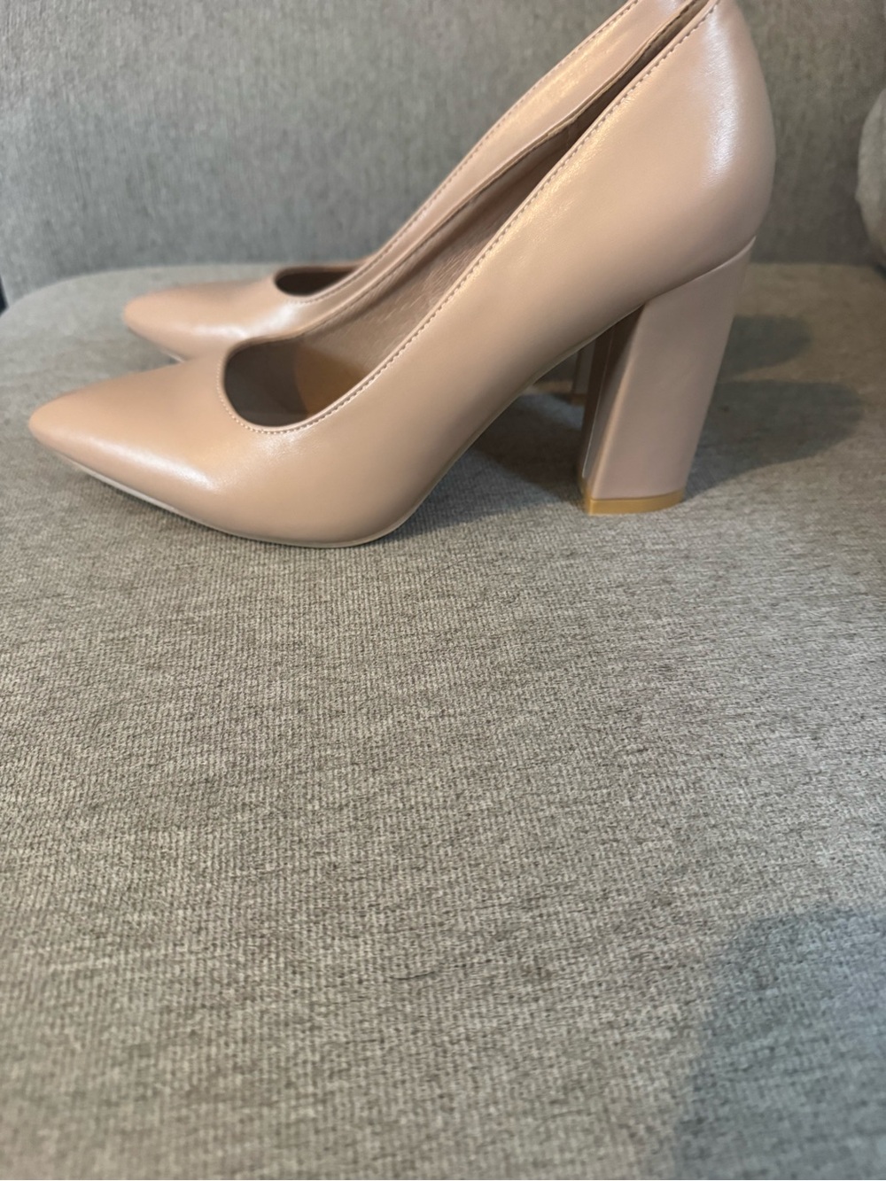 Classic Pointed Toe Block Heel Pumps in Nude